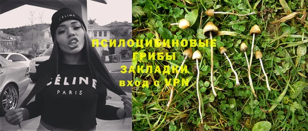 твердый Медногорск
