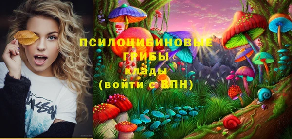 твердый Медногорск