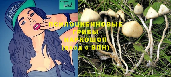 твердый Медногорск