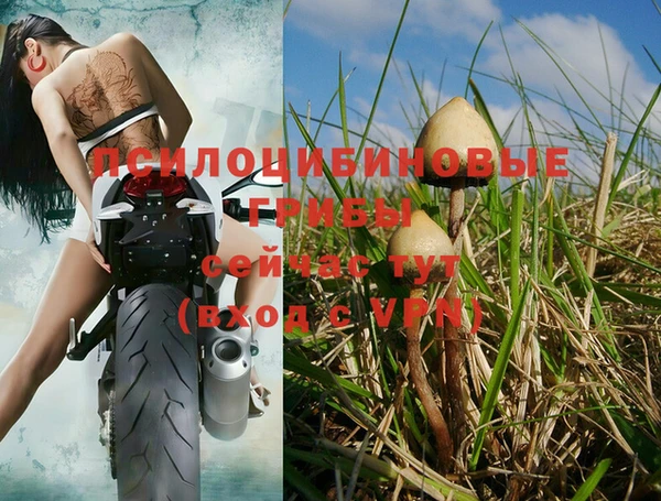 твердый Медногорск